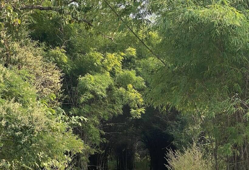 Отель The Tiger Valley Resort