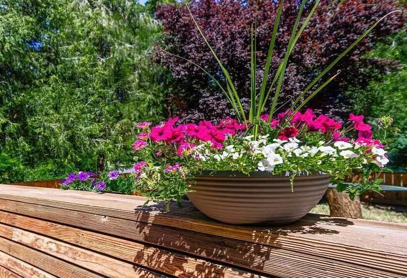 Madi S Place ~ Guest House