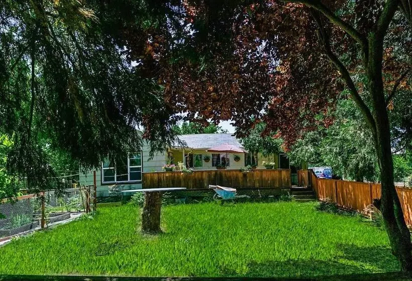 Madi S Place ~ Guest House