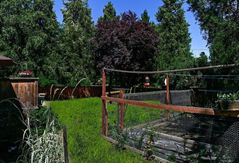 Madi S Place ~ Guest House