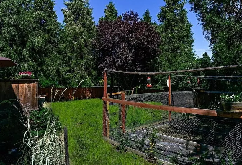 Madi S Place ~ Guest House