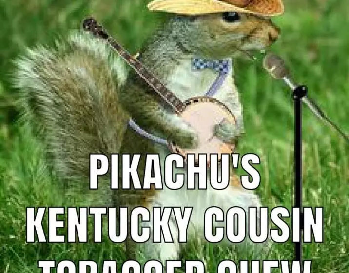 Motelli Big South Fork Trail Lodge