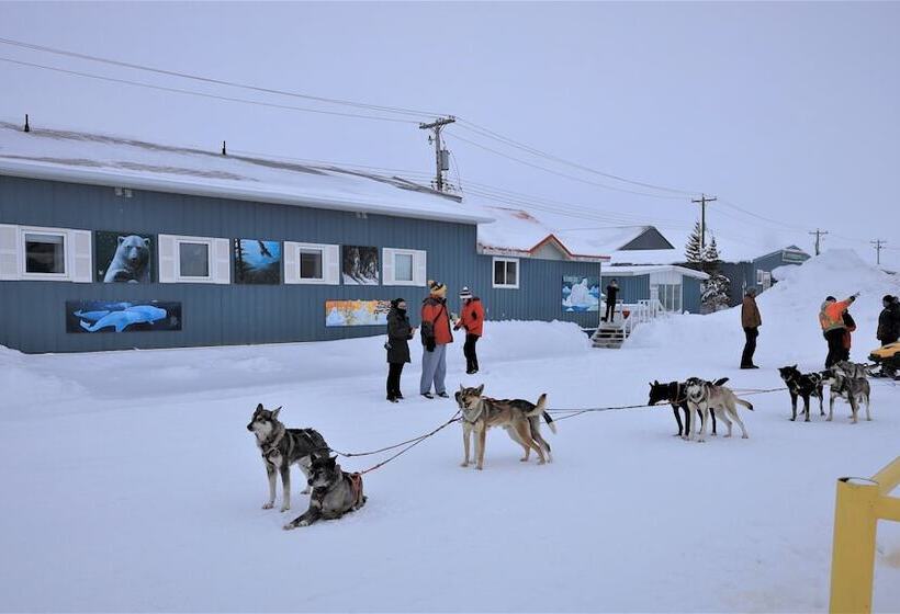 مُتل Iceberg Inn