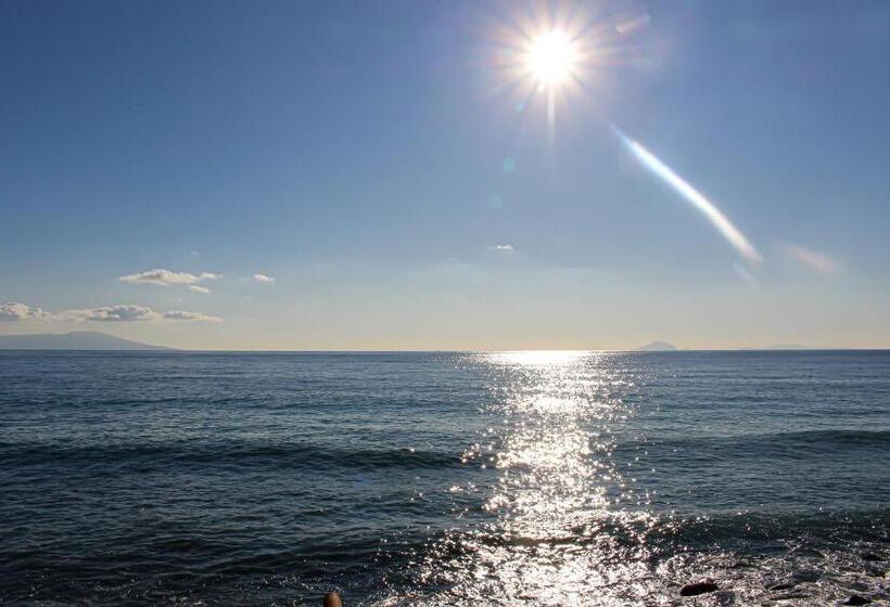 日式旅馆 &resort Izu No Ne