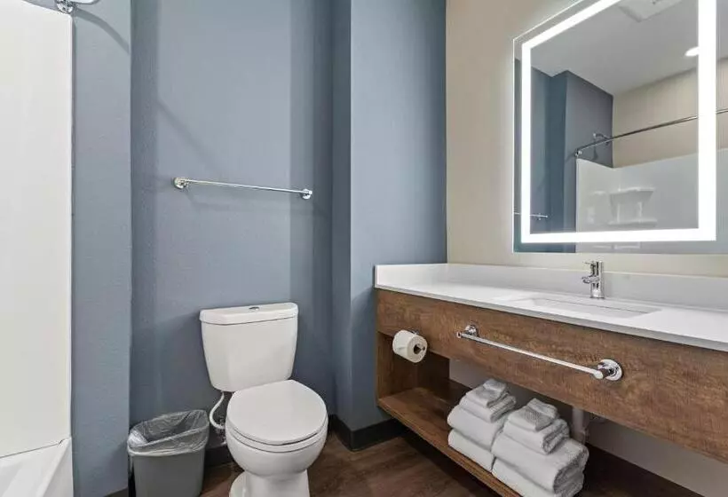 Hotelli Extended Stay America Premier Suites  Tampa  Gibsonton  Riverview