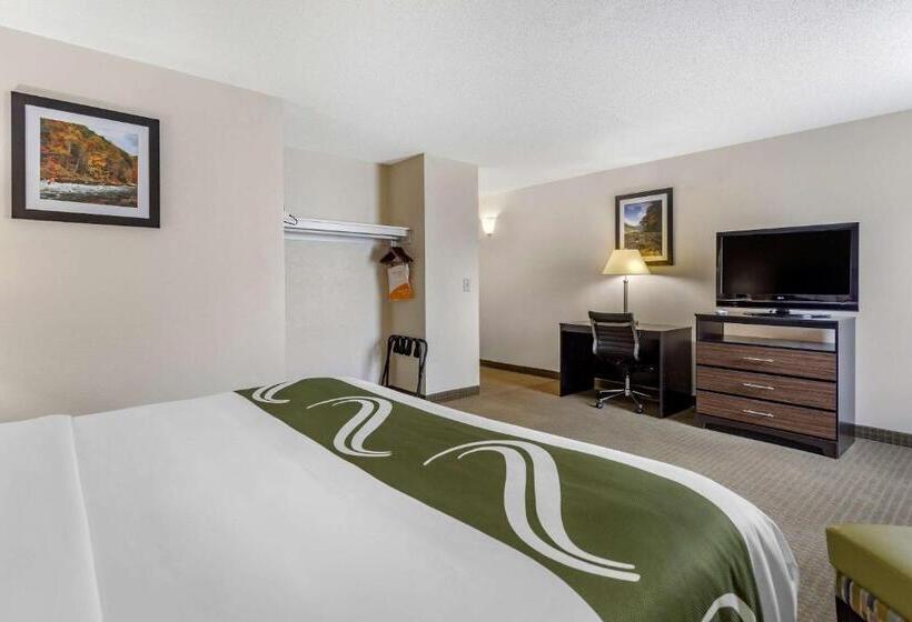 ホテル Quality Inn