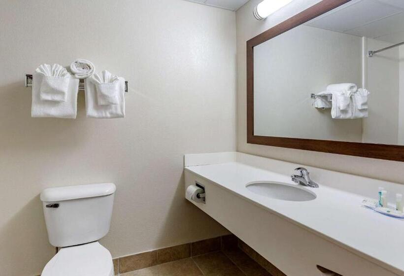 ホテル Quality Inn