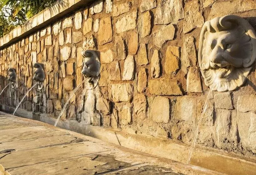 The Royal Palm Bed & Breakfast