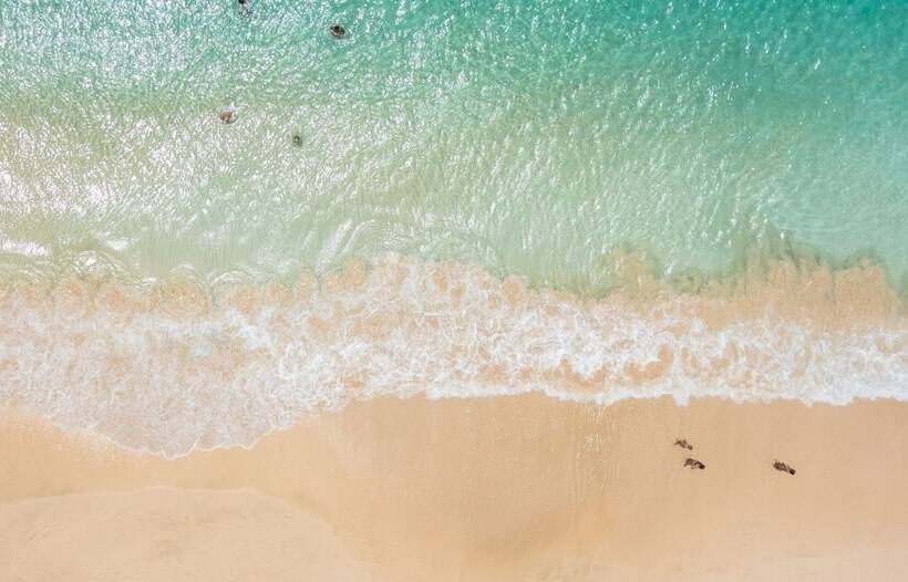 פנסיון Art Suites By Casa De Indias