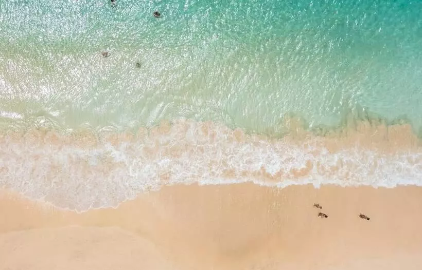 ペンション Art Suites By Casa De Indias