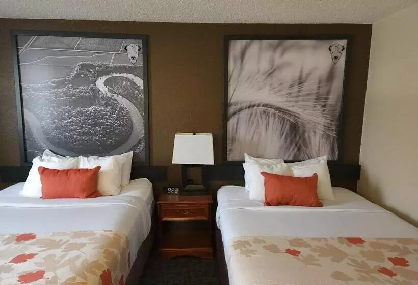 مُتل Bison Plains Lodge