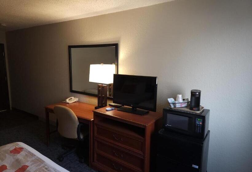 汽车旅馆  Bison Plains Lodge