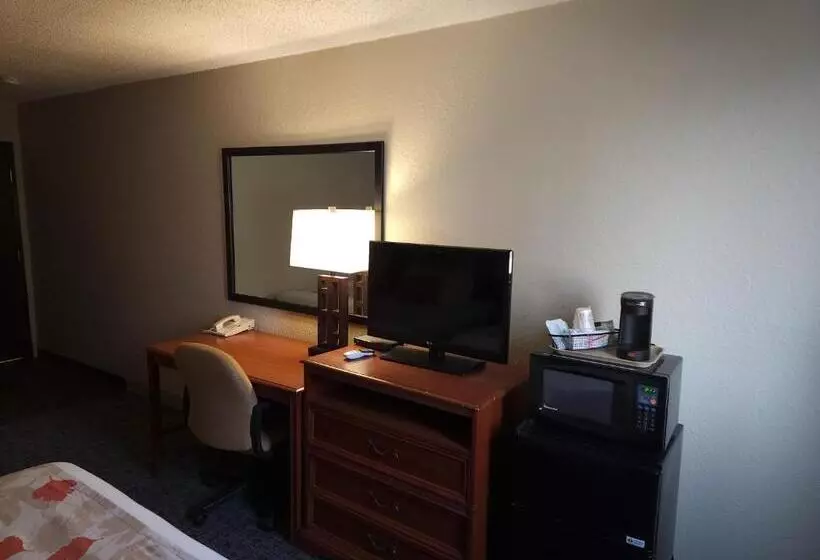 مُتل Bison Plains Lodge