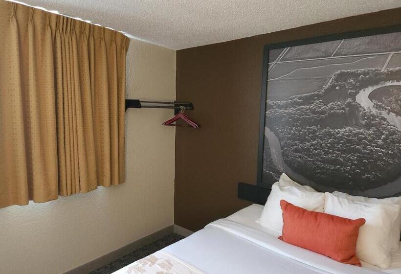 汽车旅馆  Bison Plains Lodge