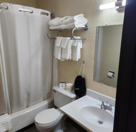 汽车旅馆  Bison Plains Lodge