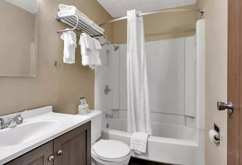 مُتل Bison Plains Lodge