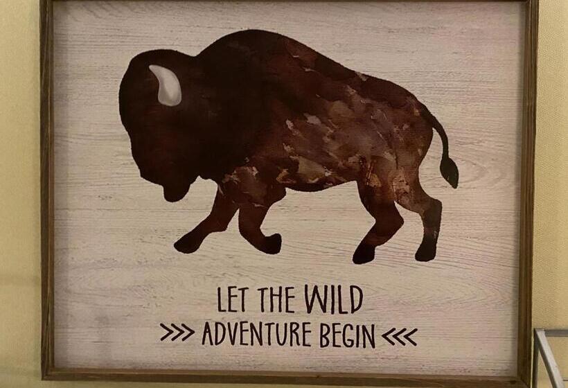 汽车旅馆  Bison Plains Lodge