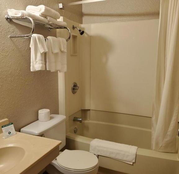 汽车旅馆  Bison Plains Lodge