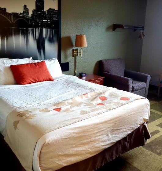 汽车旅馆  Bison Plains Lodge