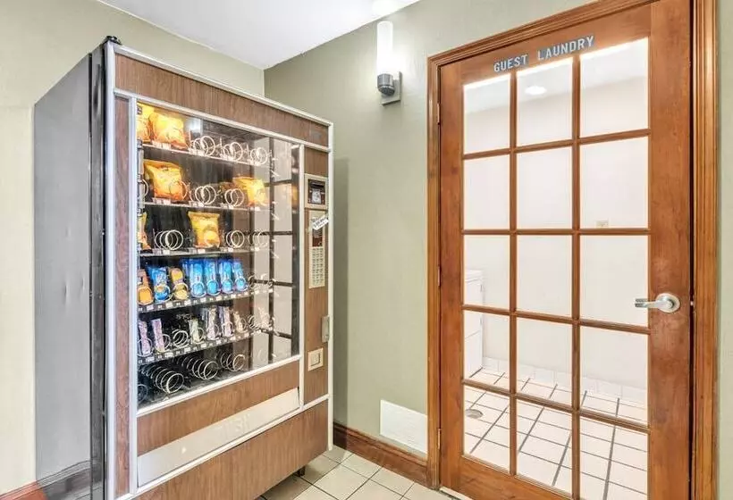 مُتل City Center Inn