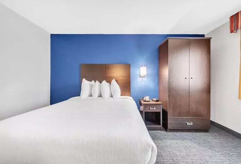 مُتل City Center Inn