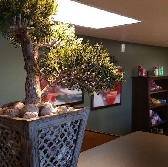 فندق على الطريق Mariposa