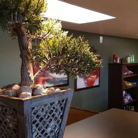 汽车旅馆 Mariposa