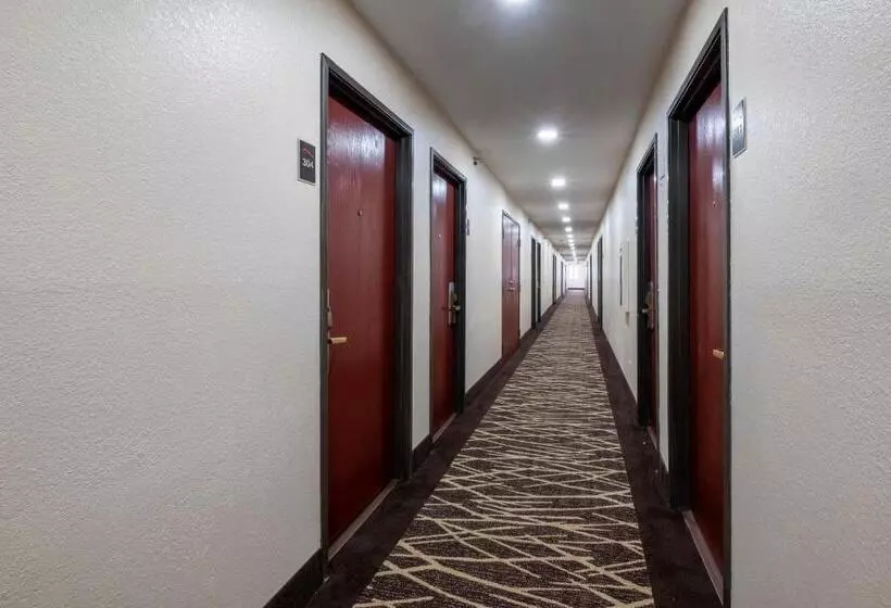 فندق على الطريق Red Roof Inn Norfolk   Portsmouth