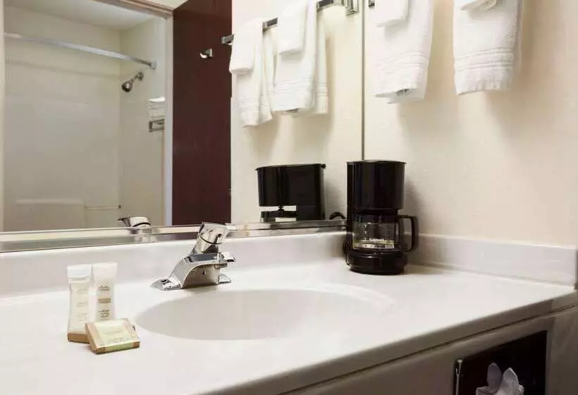 モーテル Super 8 By Wyndham Aurora/naperville Area