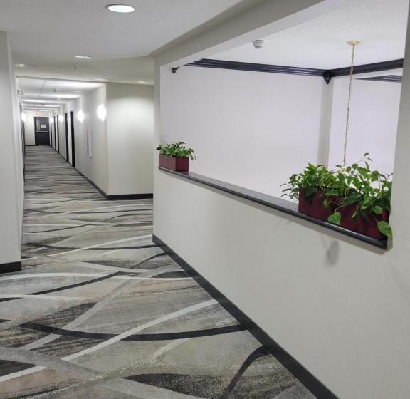 Motel Super 8 By Wyndham Aurora/naperville Area