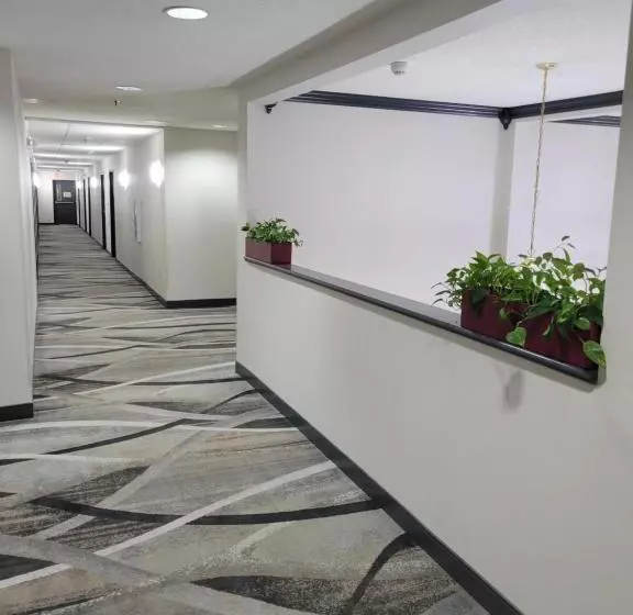 モーテル Super 8 By Wyndham Aurora/naperville Area