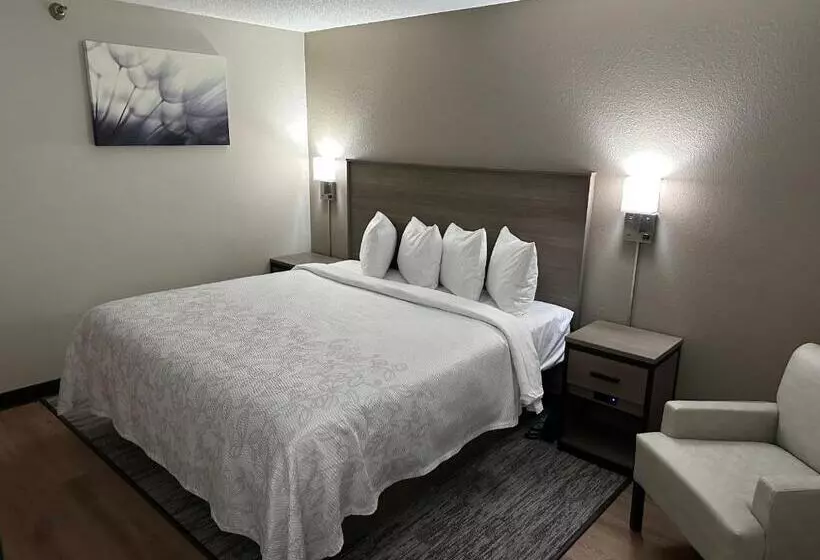 汽车旅馆 Red Roof Plus Belleville