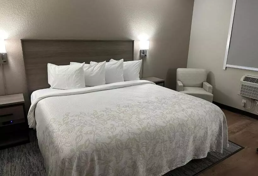 汽车旅馆 Red Roof Plus Belleville