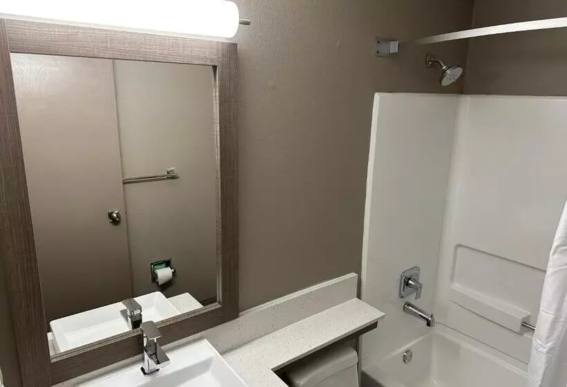 汽车旅馆 Red Roof Plus Belleville