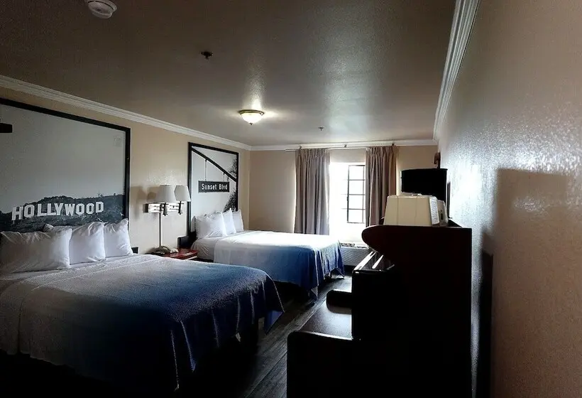 モーテル Super 8 By Wyndham Hollywood/la Area