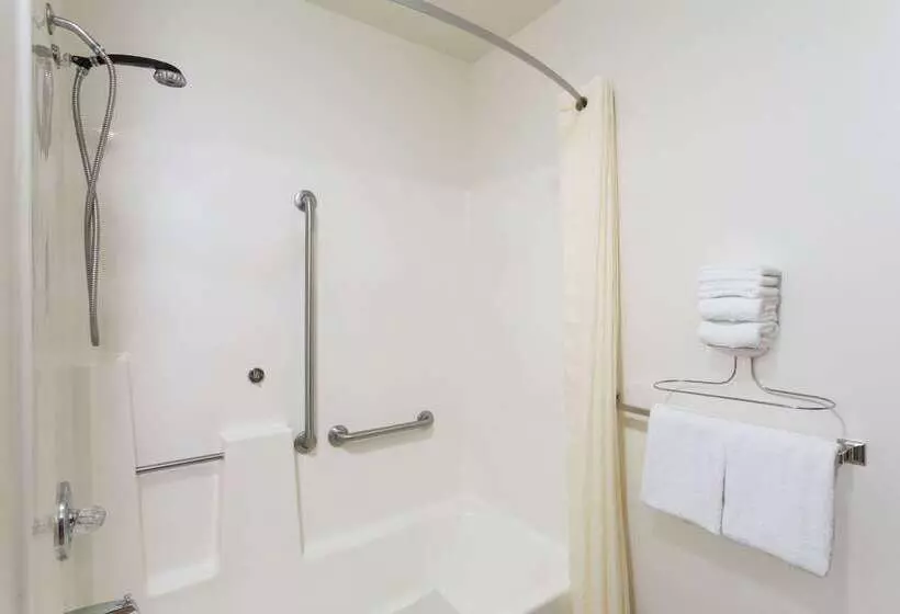 汽车旅馆  Super 8 By Wyndham Hot Springs