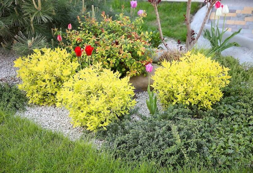 Szálloda Chayka Resort