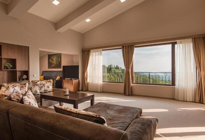 Отель Villa Magus