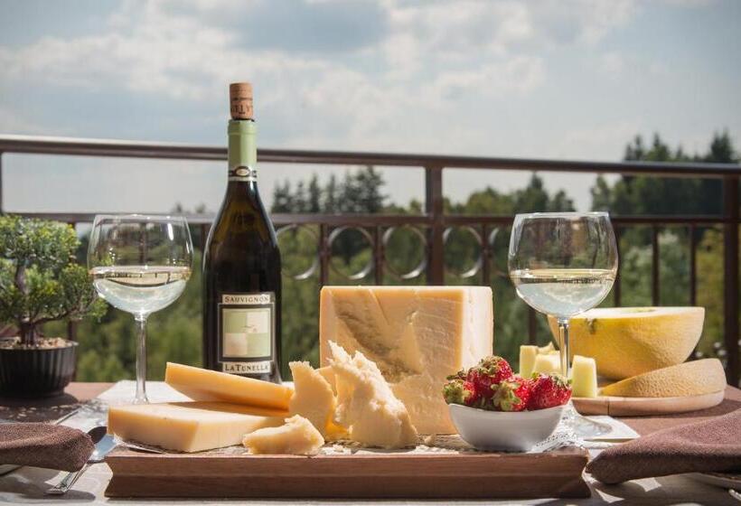 Отель Villa Magus