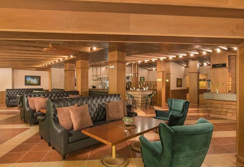 Отель Villa Magus