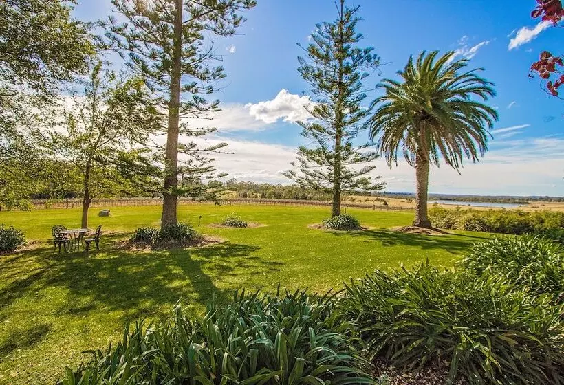 Cockfighters Ghost Vineyard