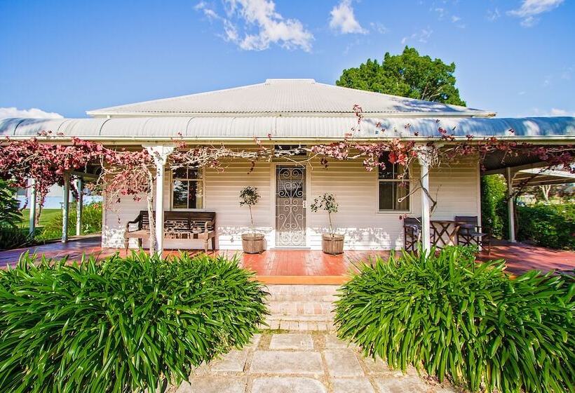 Cockfighters Ghost Vineyard