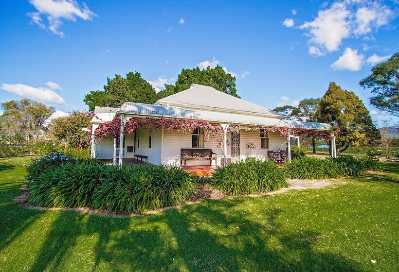 Cockfighters Ghost Vineyard