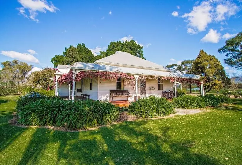 Cockfighters Ghost Vineyard