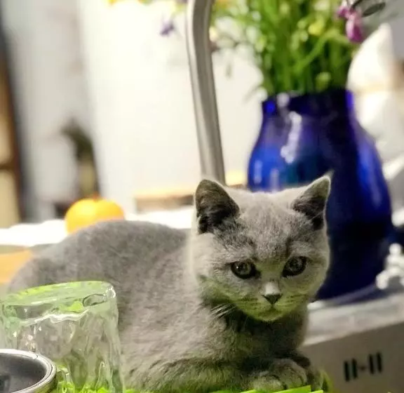 Hotelli La Maison Du Laoshay Lijiang