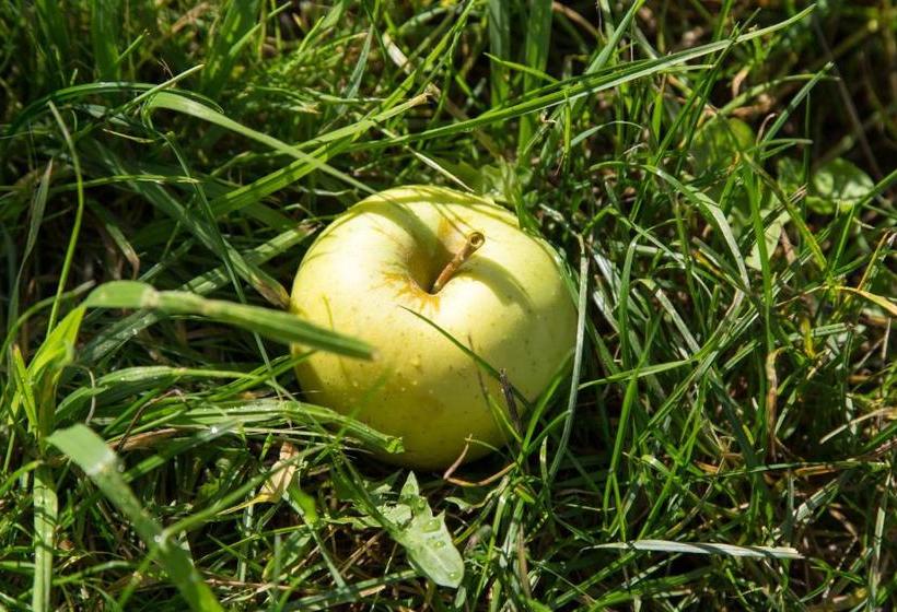 酒店 Pension Obertaberhof