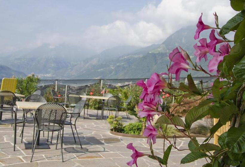 酒店 Pension Obertaberhof