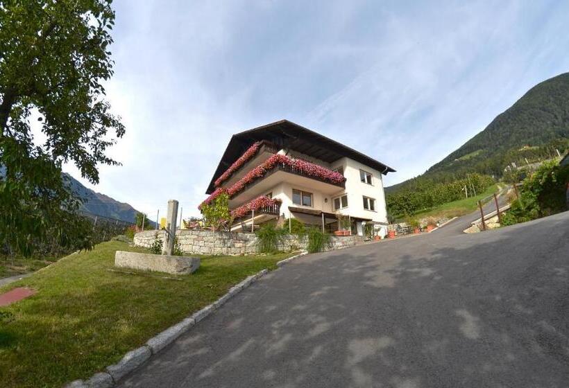 酒店 Pension Obertaberhof