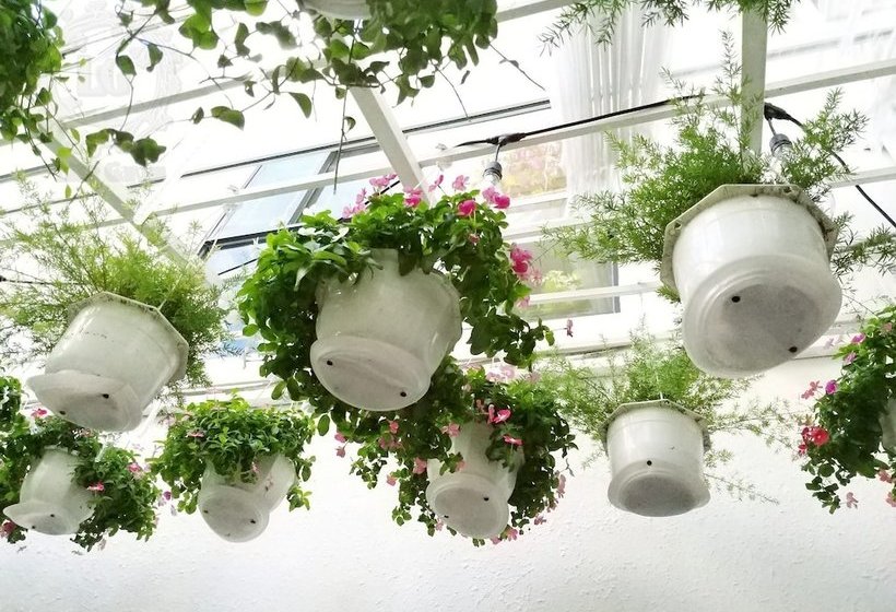 هاستل Little Garden Homestay