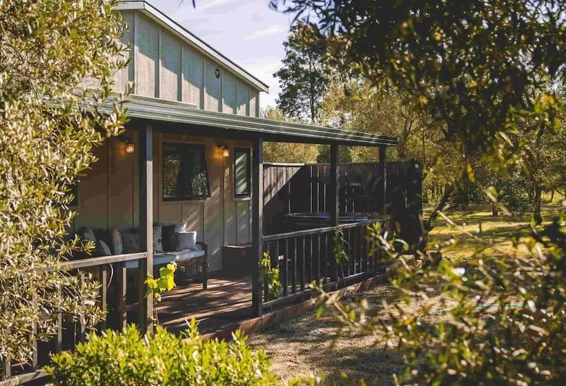 Olive & Vine Estate